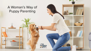 Woman kneeling with a happy puppy, gently teaching and playing.