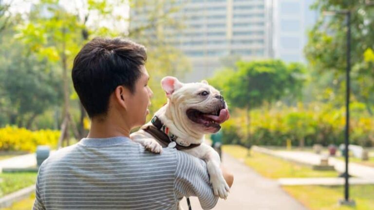 Richfield puppy training at go anywhere dog: puppy training, puppy classes, in-home puppy training, in-home dog training, dog training classes, fear and aggression training