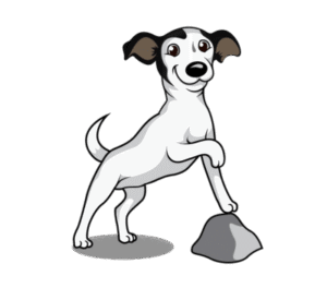 Excelsior in-home puppy & dog training – go anywhere dog®