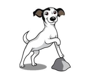 Long lake puppy training & dog training – go anywhere dog® - puppy classes near long lake, dog training classes, therapy dog, cgc, emotional support dog