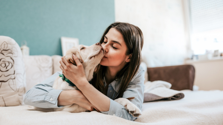 Long lake puppy training at go anywhere dog: puppy training, puppy classes, in-home puppy training, in-home dog training, dog training classes, fear and aggression training