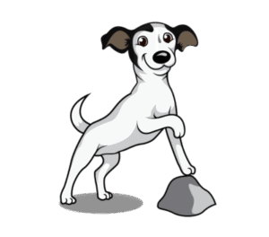 Richfield in-home puppy dog training – go anywhere dog®, minneapolis & twin cities, mn