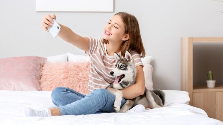 Minneapolis puppy training at go anywhere dog: puppy training, puppy classes, in-home puppy training, dog training, dog training classes, fear and aggression training