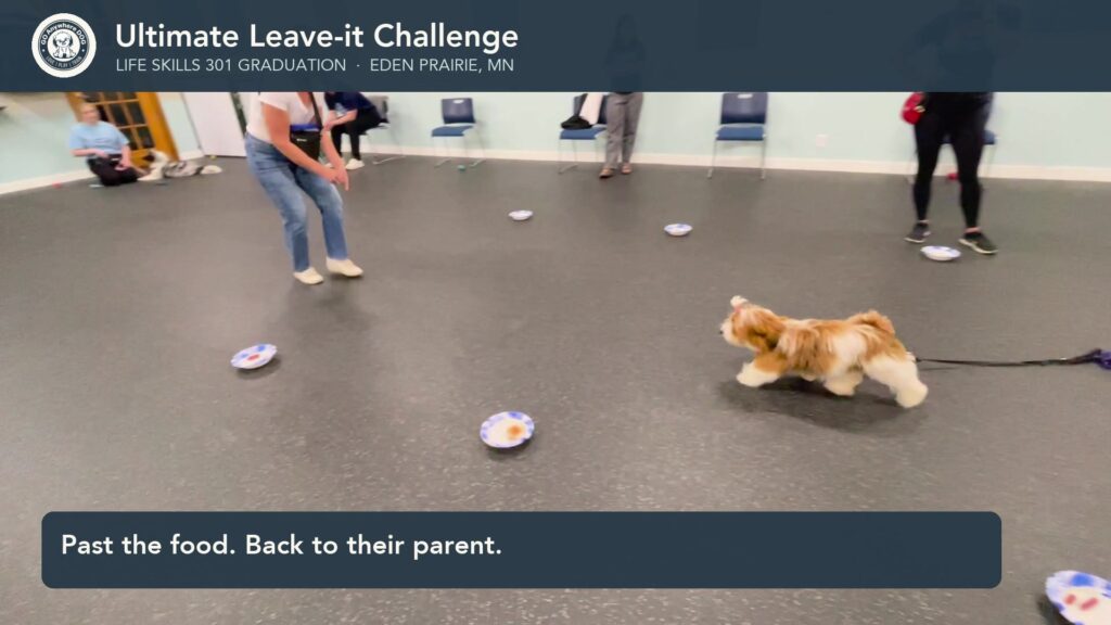 A Life Skills 301 graduate runs past bowls of hot dogs and mini hamburgers toward their parent at Go Anywhere Dog in Eden Prairie, Minnesota.