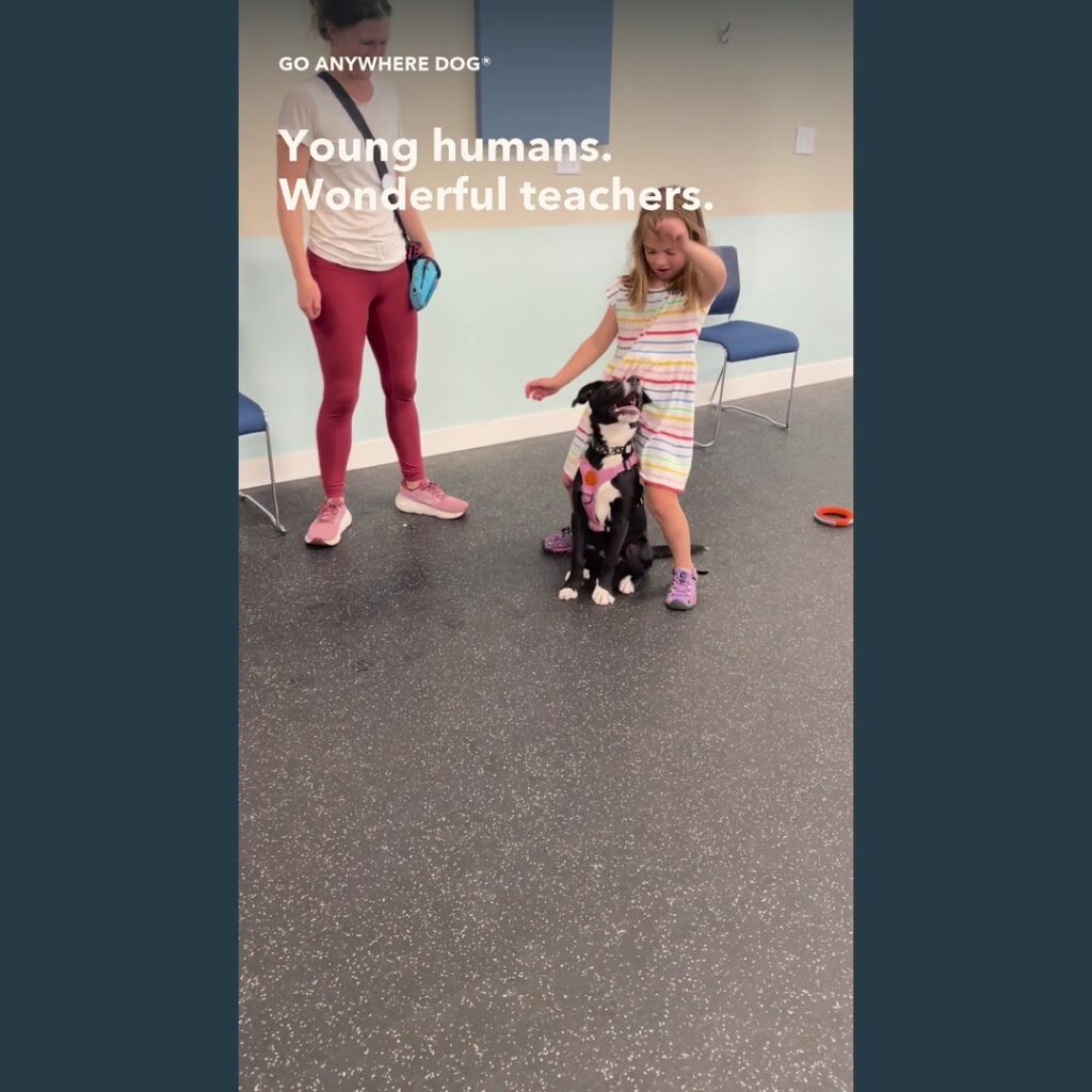 A young girl practices Peek-a-boo with a dog beside an adult in Go Anywhere Dog class.